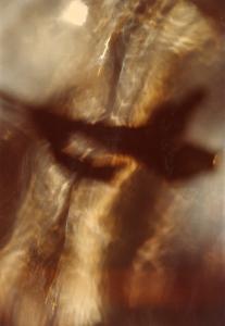SC_AFRLSER_SER-s5020-0005346_IMG-0000013517