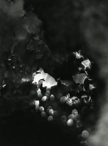 SC_AFRLSER_SER-s5020-0005405_IMG-0000013613