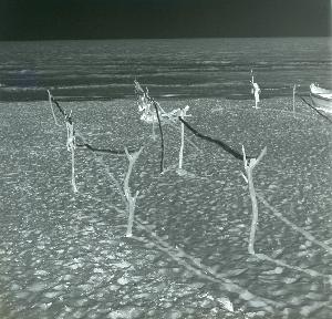 SC_AFRLSER_SER-s5020-0006070_IMG-0000011389