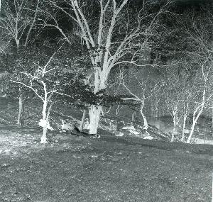 SC_AFRLSER_SER-s5020-0006188_IMG-0000011507