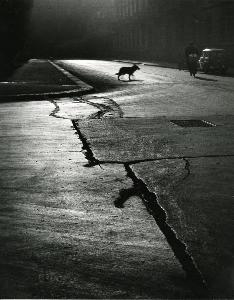 SW_AFRLSER_SER-s5010-0006057_IMG-0000000001