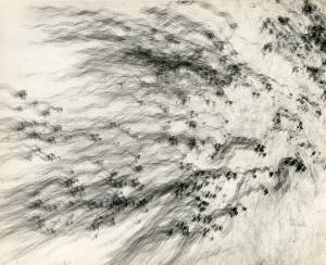 SW_AFRLSER_SER-s5010-0009434_IMG-0000000001
