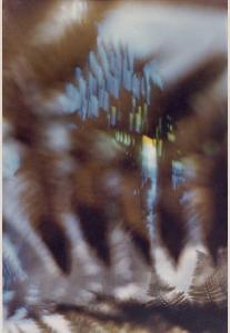 SW_AFRLSER_SER-s5010-0009754_IMG-0000000001