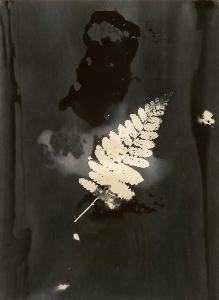 SW_AFRLSER_SER-s5020-0005469_IMG-0000000001