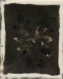 SW_AFRLSER_SER-s5020-0005485_IMG-0000000001