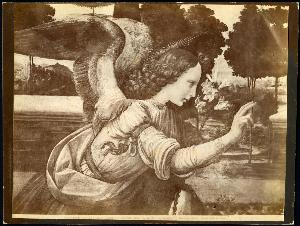 SC_F_SUP-3a010-0000009_IMG-0000029218