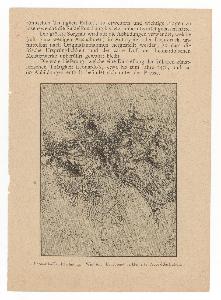 SC_F_SUP-3a010-0000082_IMG-0000029291