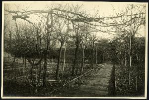 SC_F_SUP-3a010-0000161_IMG-0000029365
