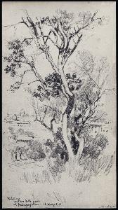 SC_F_SUP-3a010-0001158_IMG-0000030349