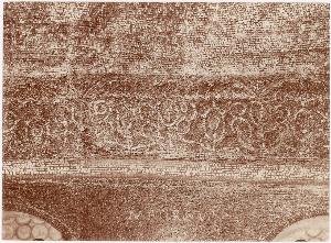 SC_F_SUP-3a010-0001743_IMG-0000030934