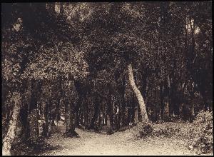 SC_F_SUP-3a010-0001905_IMG-0000031097