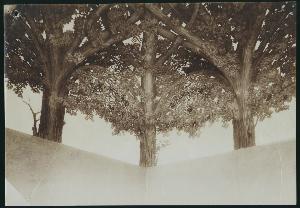 SC_F_SUP-3a010-0002111_IMG-0000031300