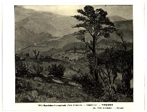 SC_F_SUP-3a010-0003590_IMG-0000016947