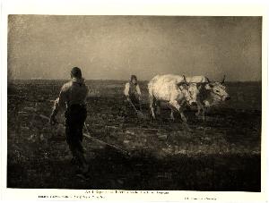 SC_F_SUP-3a010-0004284_IMG-0000017634