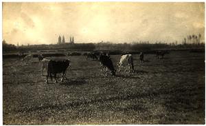SC_F_SUP-3a010-0004439_IMG-0000017773