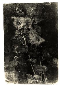 SC_F_SUP-3a010-0005303_IMG-0000018609