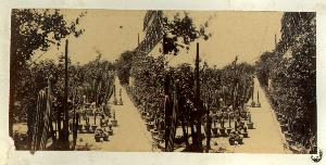 SC_F_SUP-3a010-0006043_IMG-0000011725