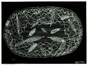 SC_F_SUP-3a010-0006400_IMG-0000019368