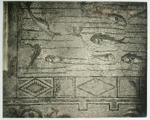 SC_F_SUP-3a010-0007030_IMG-0000019542