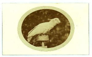 SC_F_SUP-3a010-0007581_IMG-0000012529