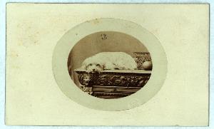 SC_F_SUP-3a010-0007583_IMG-0000012531