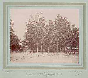 SC_F_SUP-3a010-0008588_IMG-0000013041