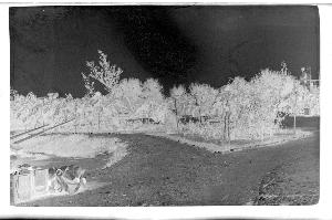 SC_F_SUP-3a010-0010436_IMG-0000013873