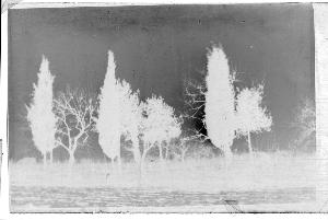 SC_F_SUP-3a010-0010516_IMG-0000013881