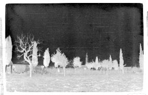 SC_F_SUP-3a010-0010517_IMG-0000013882