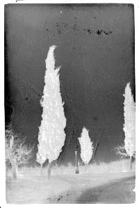 SC_F_SUP-3a010-0010518_IMG-0000013883
