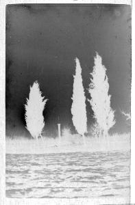 SC_F_SUP-3a010-0010519_IMG-0000013884