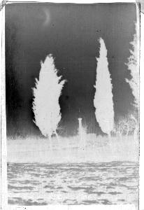 SC_F_SUP-3a010-0010520_IMG-0000013885