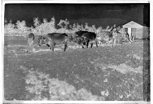 SC_F_SUP-3a010-0010523_IMG-0000013888