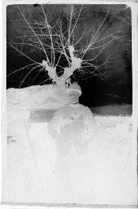 SC_F_SUP-3a010-0010531_IMG-0000013896