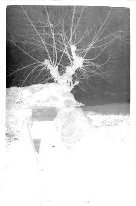 SC_F_SUP-3a010-0010534_IMG-0000013899