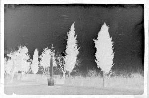 SC_F_SUP-3a010-0010553_IMG-0000013915
