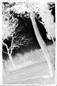 SC_F_SUP-3a010-0010554_IMG-0000013916