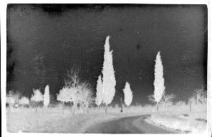 SC_F_SUP-3a010-0010561_IMG-0000013923