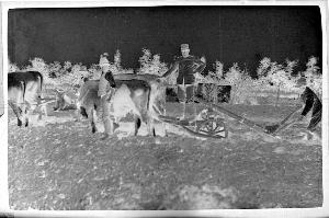 SC_F_SUP-3a010-0010569_IMG-0000013931