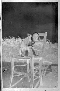 SC_F_SUP-3a010-0010661_IMG-0000013968