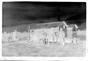 SC_F_SUP-3a010-0010761_IMG-0000014012