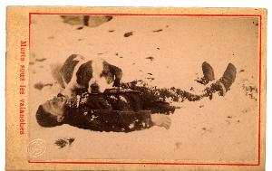 SC_F_SUP-3a010-0012029_IMG-0000014742
