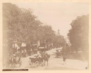 SC_F_SUP-3a010-0012589_IMG-0000015017