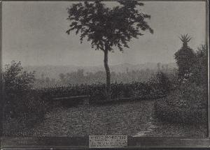 SC_F_SUP-3a010-0014558_IMG-0000024289