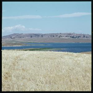 SC_F_SUP-3a030-0030040_IMG-0000042286
