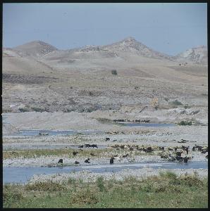 SC_F_SUP-3a030-0030090_IMG-0000042336