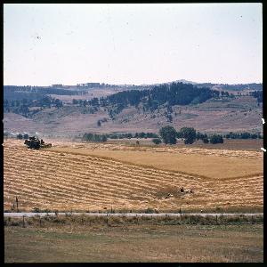 SC_F_SUP-3a030-0030173_IMG-0000042419