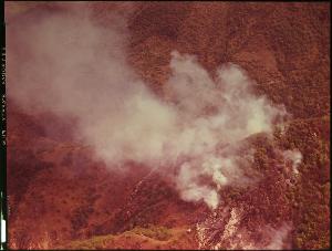 SC_F_SUP-3a050-0000029_IMG-0000001561