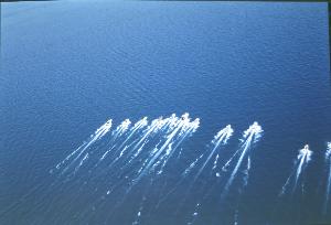 SC_F_SUP-3a050-0000099_IMG-0000001630
