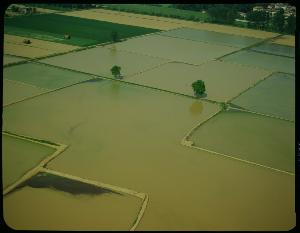 SC_F_SUP-3a050-0000196_IMG-0000001725